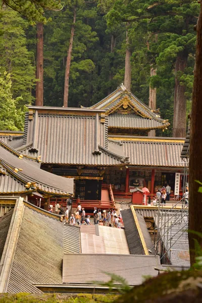 DSC_3888 (Large).JPG